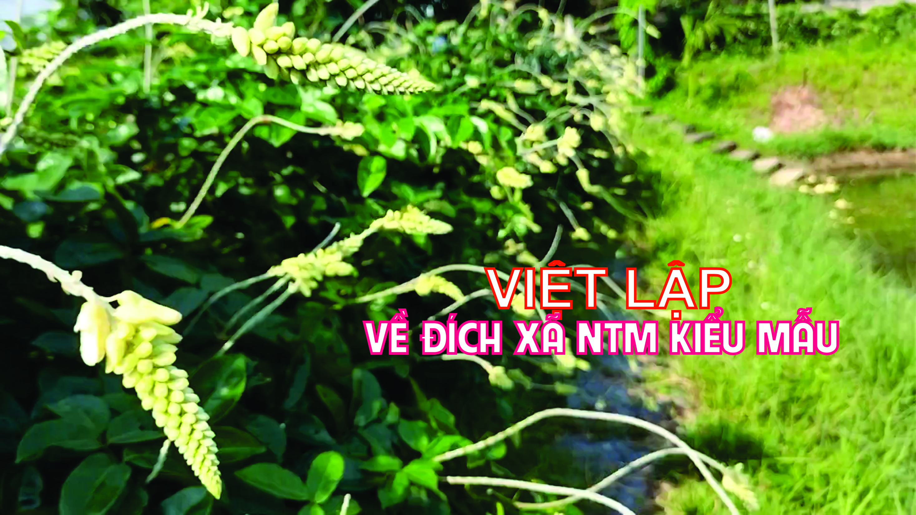 xã Việt Lập