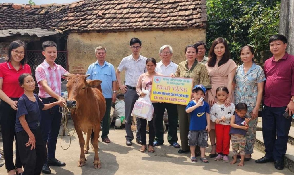 Hội Chữ thập đỏ huyện trao bò sinh sản cho hộ nghèo tại Hợp Đức, An Dương