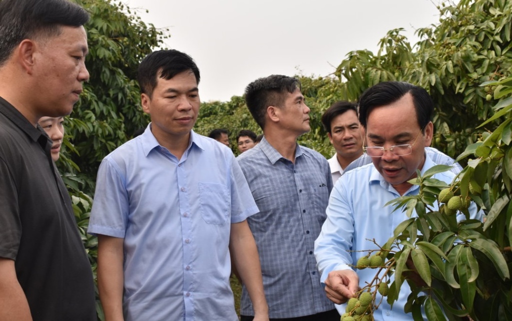 Tham tán Công sứ, Đại sứ quán Trung Quốc tại Việt Nam thăm vùng sản xuất vải Tân Yên