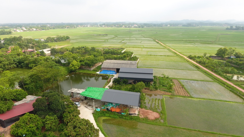 Tân Yên nỗ lực phấn đấu xây dựng nông thôn mới nâng cao