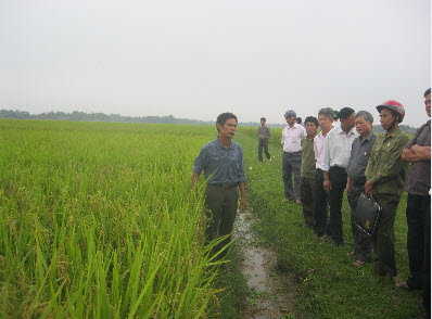 Cựu chiến binh Tân Yên góp sức xây dựng nông thôn mới