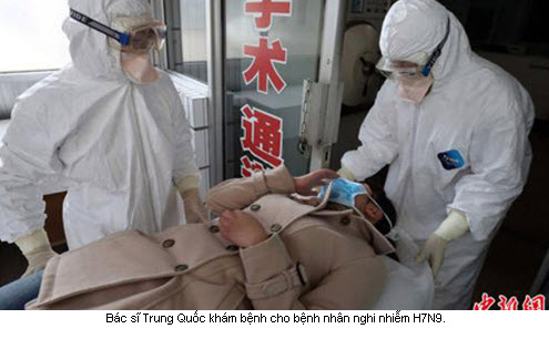 Thông tin mới nhất của WHO tại Việt Nam về cúm A/H7N9 